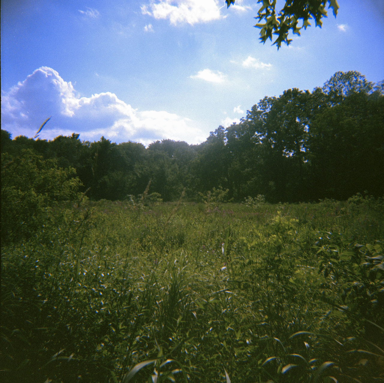 My Image 9