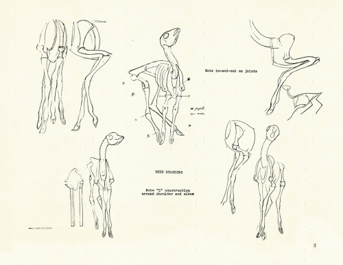 disneyconceptsandstuff: Skeletal Guidebook from Bambi by Rico LeBrun (Part 1 of 5)