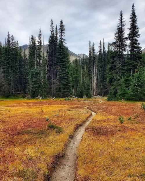 visitportangeles:  Fall is just around the corner folks. Can you feel it? Can you smell it? 🥰  📸 by @skandog 🙌  #OlympicNationalPark #VisitPortAngeles https://instagr.am/p/CTlUvNtFGRE/