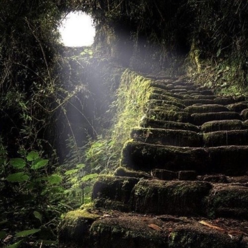 Dark Mystical Fantasy World