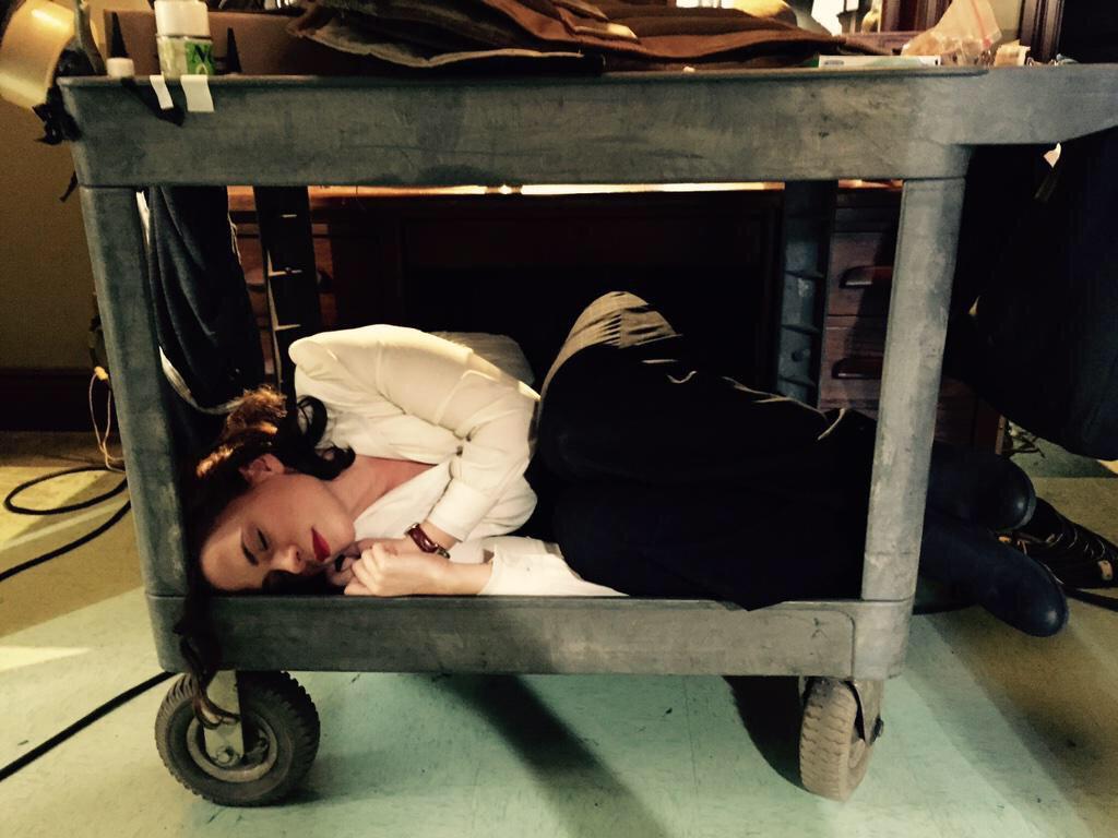 clarke-mason: Hayley Atwell: Professional Napping Queen