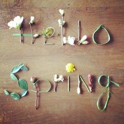 everconstant:  Happy First Day of Spring!