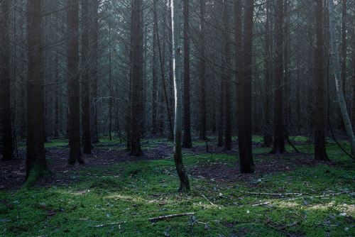 Alone in the dark by Greg Joltok on Flickr.