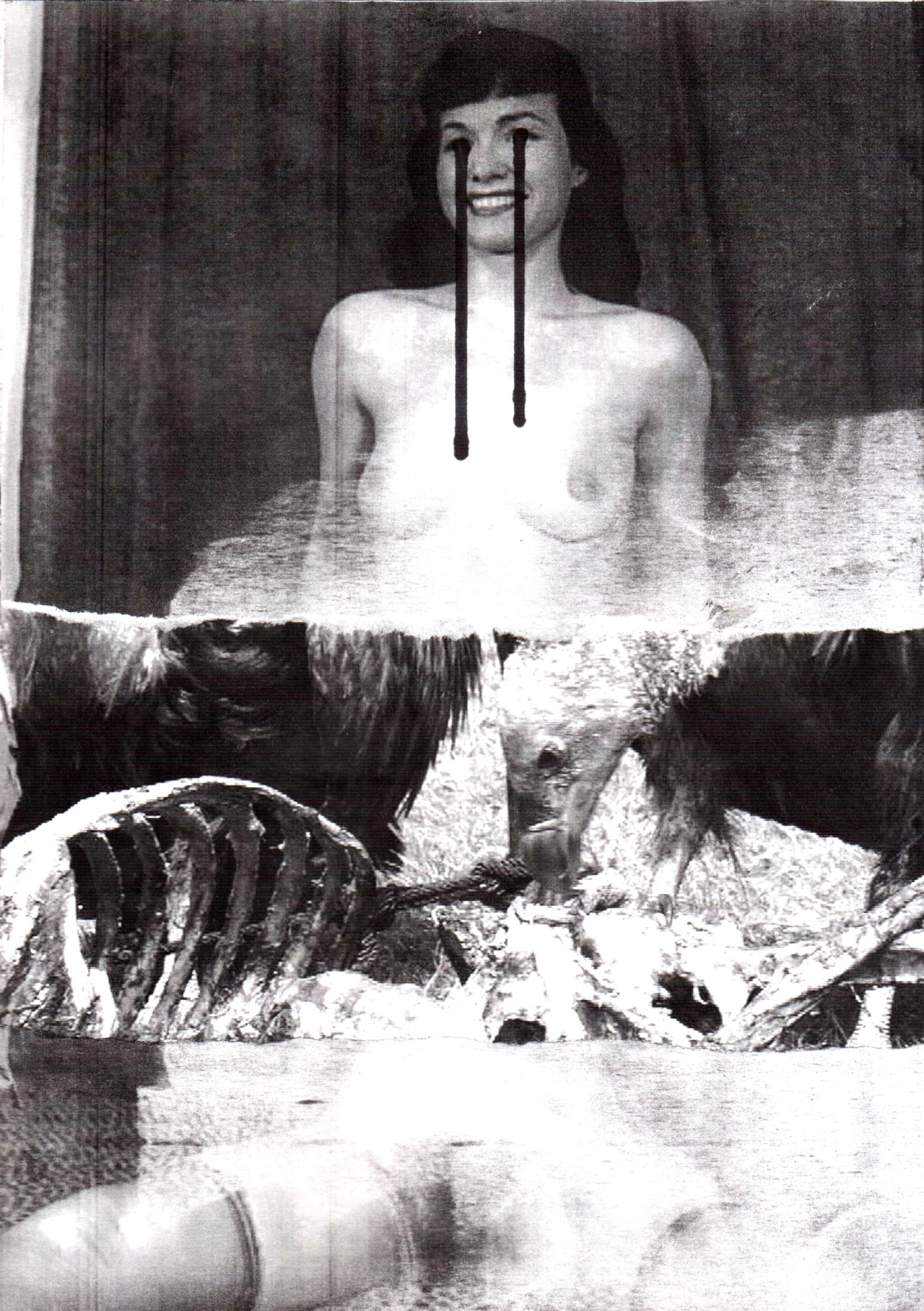 vnutrennosti:  paper/collage a4