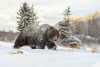 XXX snailtongue:[ID: A grizzly bear walking through photo