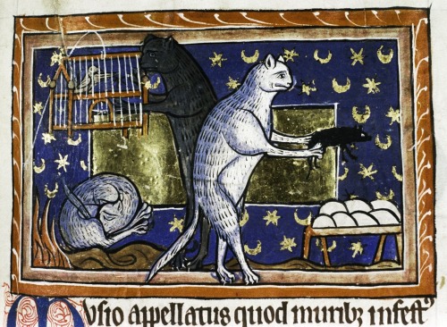 cats’ habits Bestiary, England 13th century.Bodleian Library, MS. Bodl. 764, fol. 51r