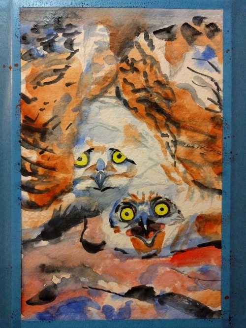 Great Horned Owlets Threat Display Watercolor for 270° by Maggie UmberI’ll be tabling with @ionafox 