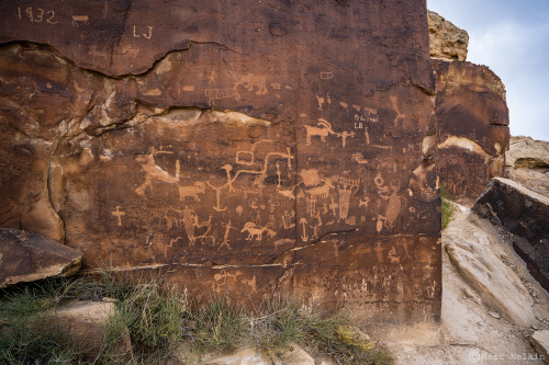 R Panel, Secondary Panel, Emery County, UT. Located near the famous main panel, this one is just aro