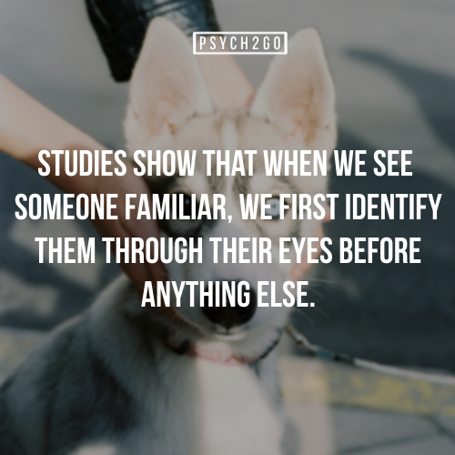 psych2go:  If you like these posts, check out @psych2go. 