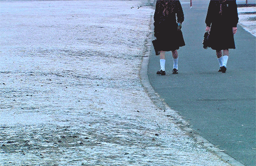 colorsofloona:  🎬   Hana &amp; Alice  2004, dir.   Shunji Iwai    