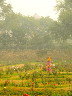 Mehrauli Archaeological Park, New Delhi