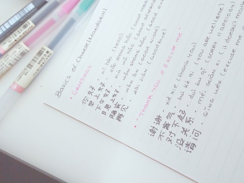 polyglo-t:starting mandarin & hindi next week @ uni, might as well get to know a few things befo