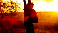 droqo:  The Best Horror Films ↳ The Texas Chainsaw Massacre (1974) 
