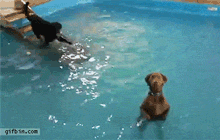 sixpenceee: When you think you’re drowning but you realize your feet can touch