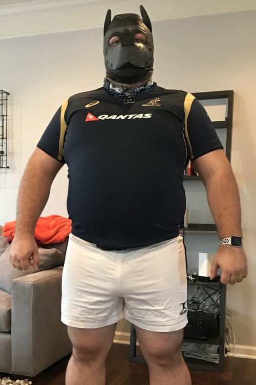 cubbiepup: Ooo, I found my rugby kit!