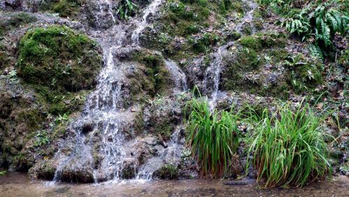 Water Water Everywhere in Hackfall Woods, North Yorkshire, England.