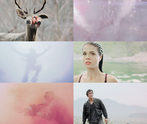 alyciadebnam: Maybe life should be about more than just surviving.