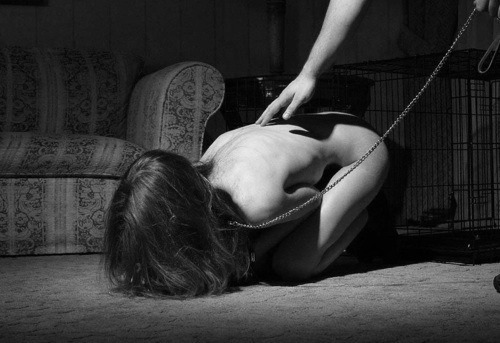 Petplay