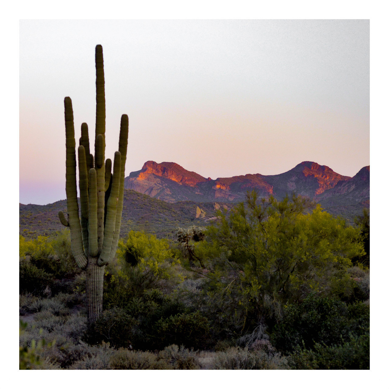 fatchance:  Superstitions. Sunrise.