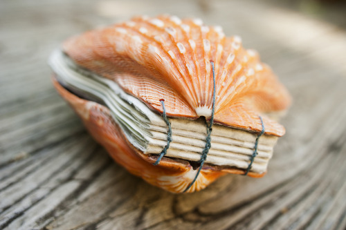 updownbindery:laurenabishop:Scallop shell artist’s book that I made filled with scans of colle