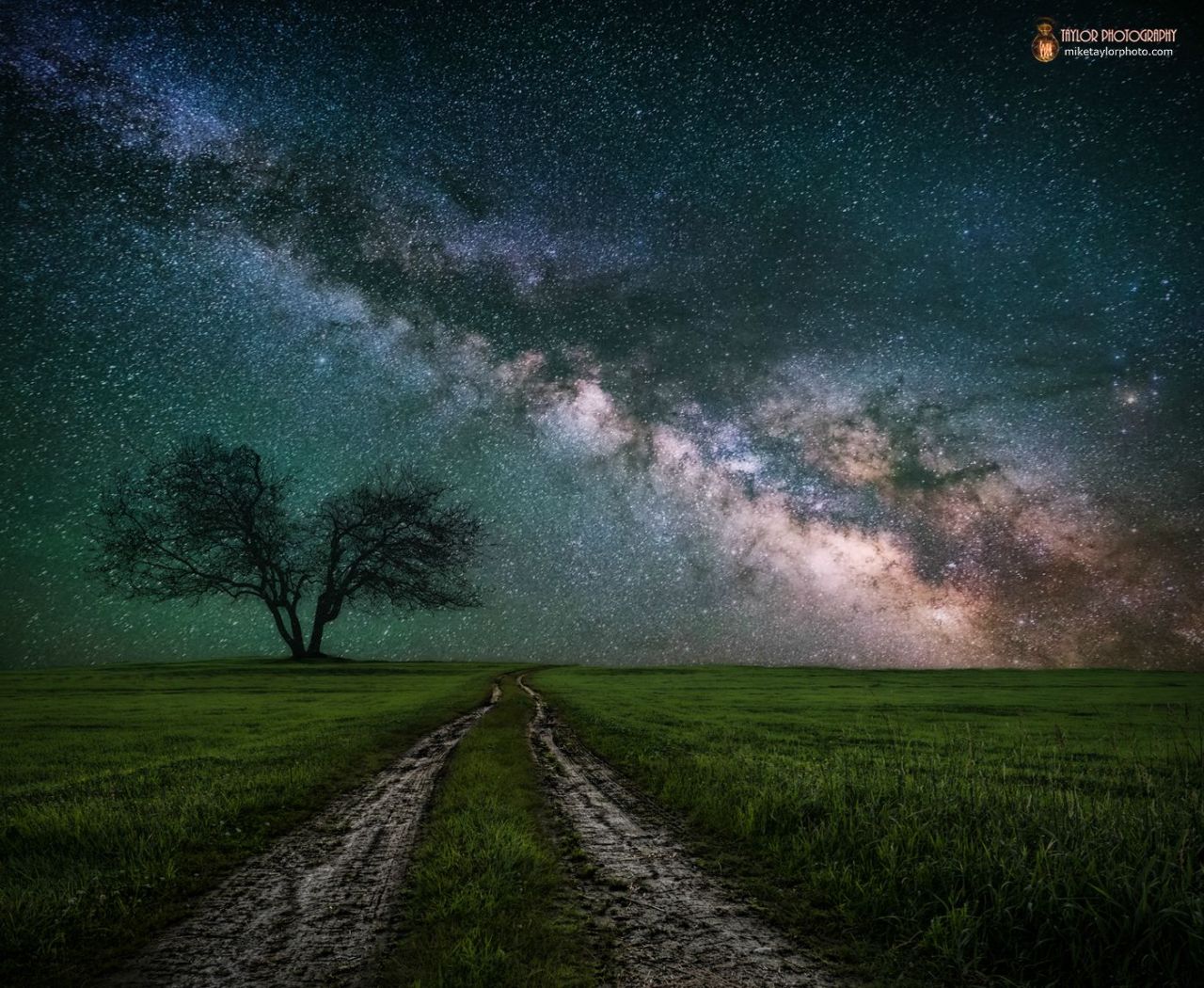 spaceexp:  Somniloquy   Photo by Mike Taylor Source: MikeTaylorPhoto (reddit)
