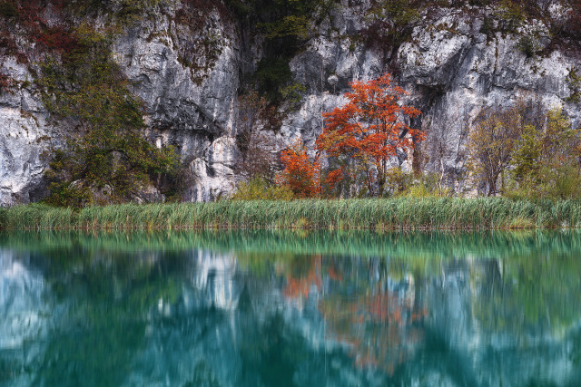 Autumnal