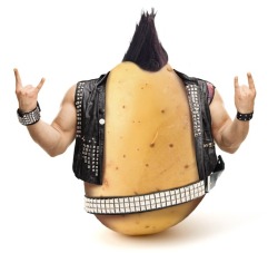 dennys:classic punktato