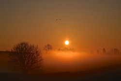 inspirehaisell:  Misty Morning by Marie.L.Manzor