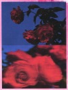 janasojka:Pick roses at night. 