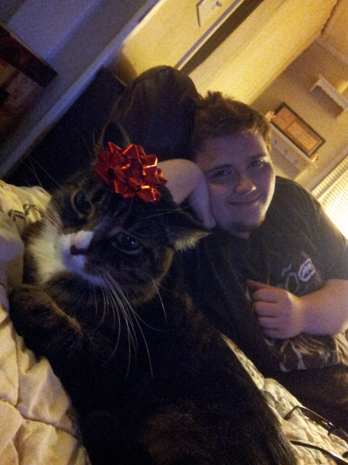 koguma-kun:  Put up the Christmas Tree last night with my boyfriend. Getting ready for the Holidays :3 