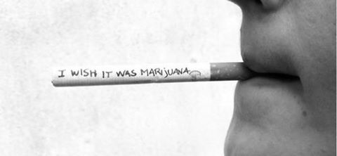 Close your eyes, open your mind.
