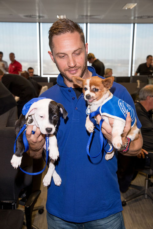 tomhardyvariations:  Article in @SW_Londoner Dog’s best friend Tom Hardy shows his soft side in Batt