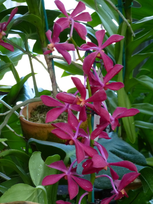 Il y a un jardin de fleurs juste à côté de l'aquarium, je le recommande ! L'atmosphère est très pais