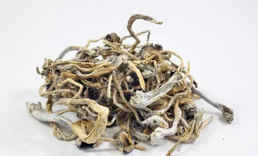 Goldie Magic Mushrooms (Psilocybin)
20.00 - 600.00 CA$
See more : https://egmedicinal.com/product/goldie-psilocybin-mushrooms/
All of our dry magic mushrooms are grown using local, organic mushroom farmers who focus on quality control and providing...