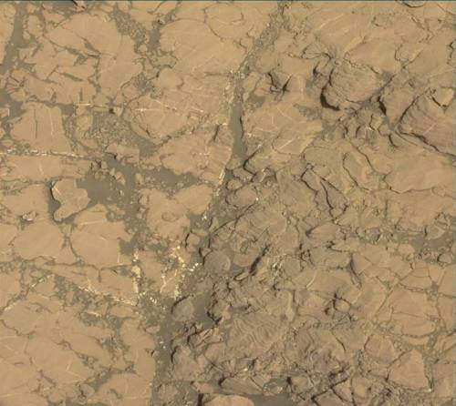 Purple Martian Majesty: Look closely and you’ll see purple and tan bands in this bedrock on Mars.