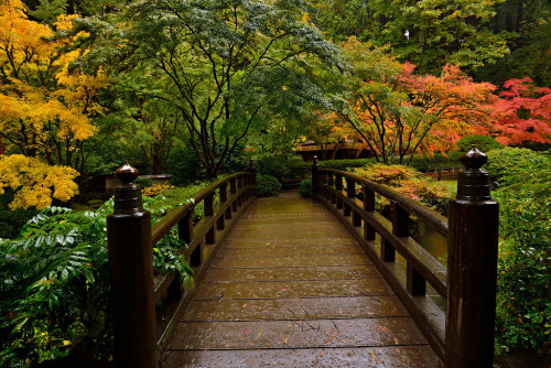 drxgonfly: Japanese Garden, Portland, Oregon (by imagesofdream)