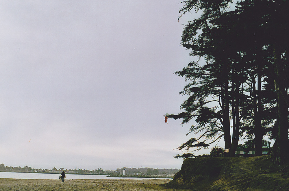 luismejico:  Santa Cruz, California (2014). Film photography. Luis Mejico.
