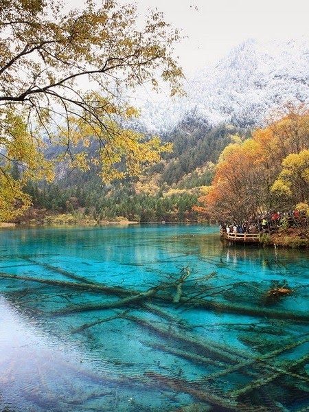 bojrk:  China: Mineral lakes, Sichuan province, Jiuzhaigou Valley