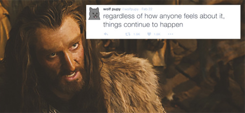 hobbitunderthemountain:Thorin + wolf pupy tweets (1/?)