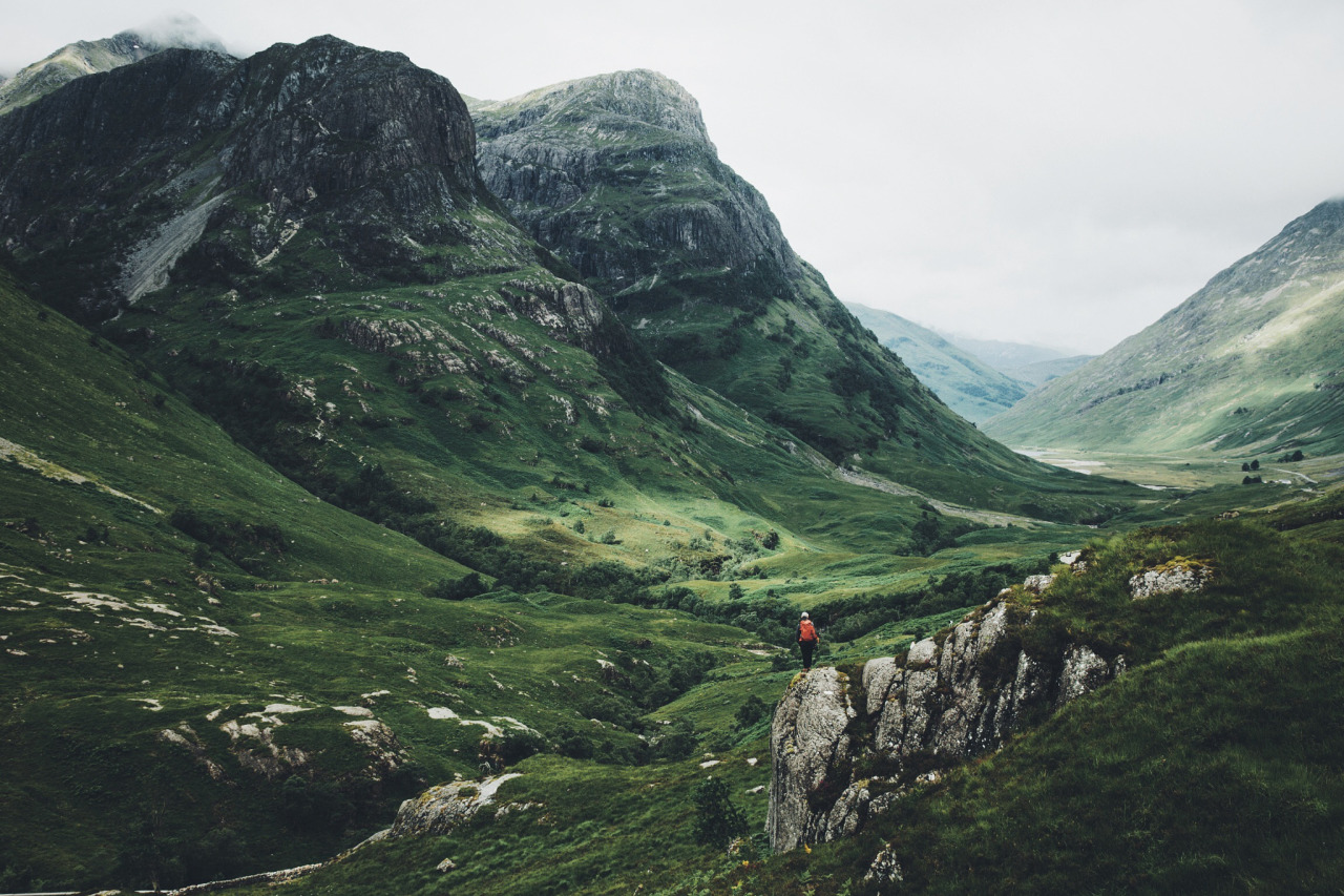 tulipnight:  Feeling Small by Daniel Casson 