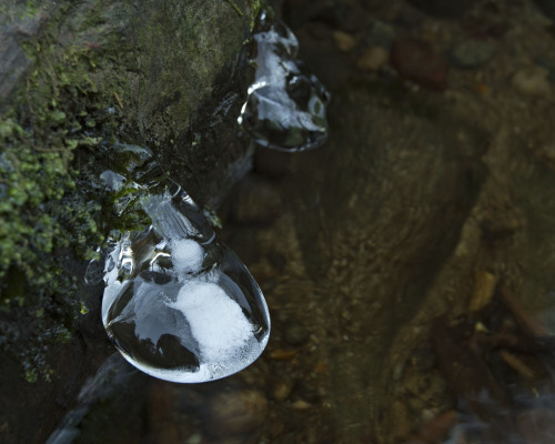 The way the river kisses its banks in the winter creates beautiful ice formations anywhere water set