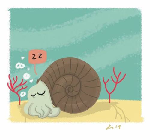 geetimesthree: sleepy ammonite. 