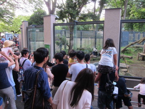 上野動物園. Ueno Zoo.