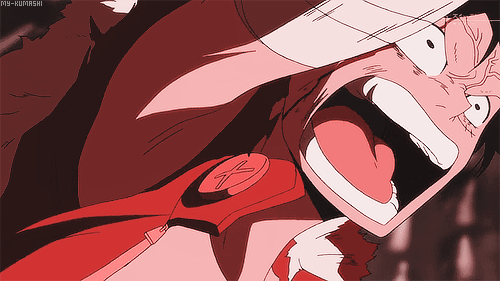 my-kumashi:Gomu Gomu no Red Hawk!
