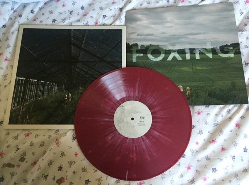 Foxing-The Albatross (2014)One of the prettiest, and one of my favorite, variants. Spinning it is fu