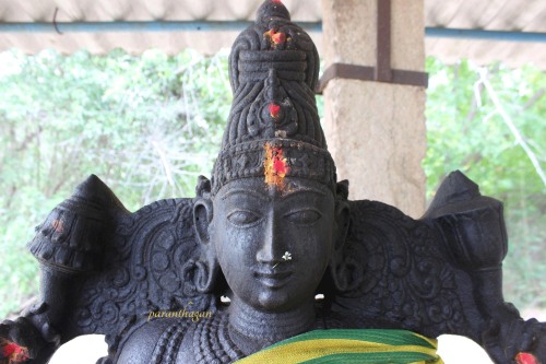 Parvati, Tamil Nadu, photo by Paranthagan Tamilsevam