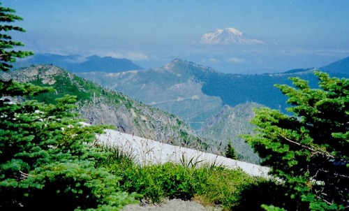 Late Summer Snow Patches II - Blast Zone Near Mt. Margaret with Clear-Cut and Mt. Rainier in the Dis