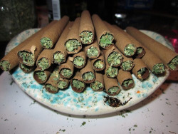 notoriousfig77:  Blunts on blunts on blunts