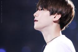 fybaekhyun: 150530 The EXO'luxion in Shanghai