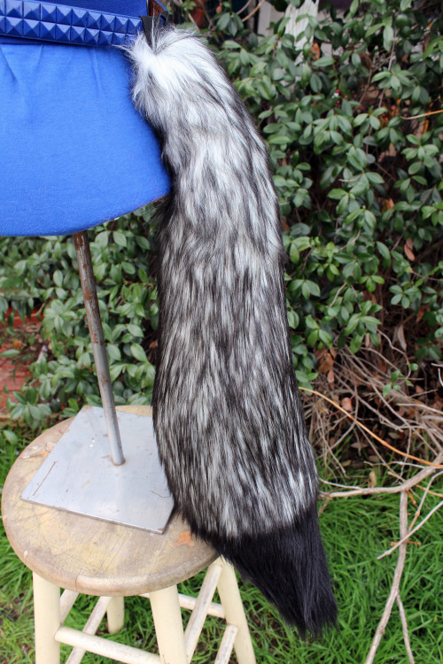 Long Fox Tails White husky tail with a black tip. White base with black mixed in. (:See something yo